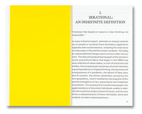 Irrational: A Visual Directory to a World with No Reason