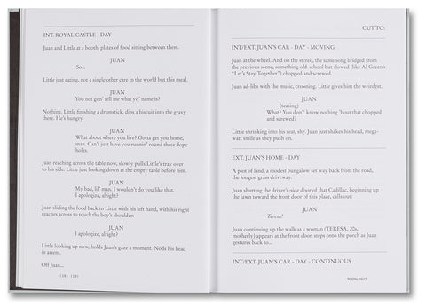Moonlight Screenplay Book
