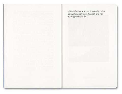 Painting Photography Painting: Selected Essays