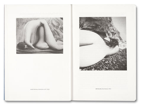 Painting Photography Painting: Selected Essays