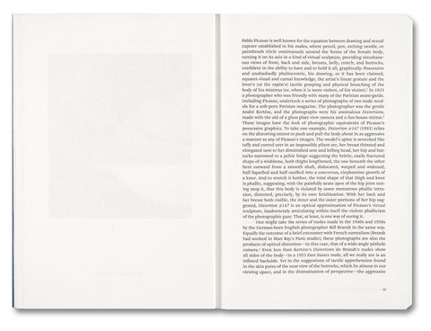 Painting Photography Painting: Selected Essays