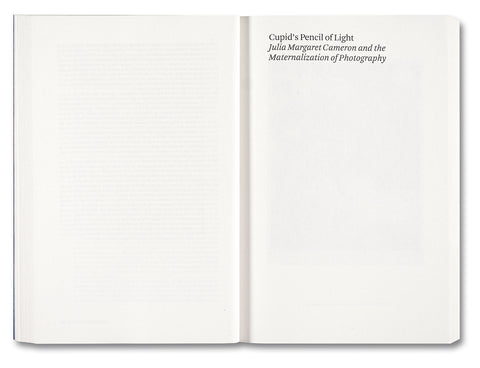 Painting Photography Painting: Selected Essays