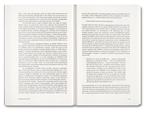 Painting Photography Painting: Selected Essays