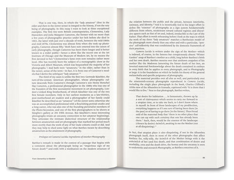 Painting Photography Painting: Selected Essays