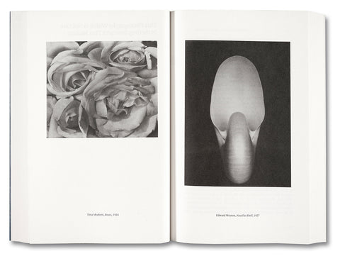 Painting Photography Painting: Selected Essays