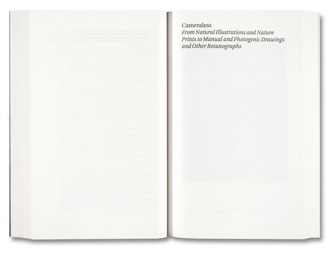 Painting Photography Painting: Selected Essays