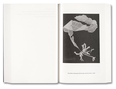 Painting Photography Painting: Selected Essays