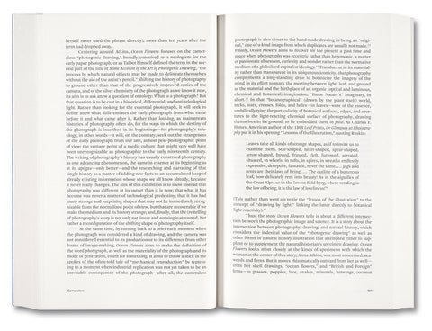 Painting Photography Painting: Selected Essays