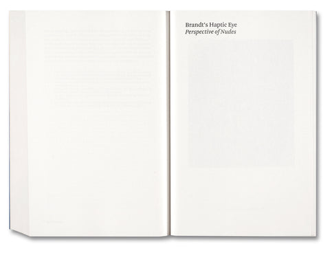 Painting Photography Painting: Selected Essays