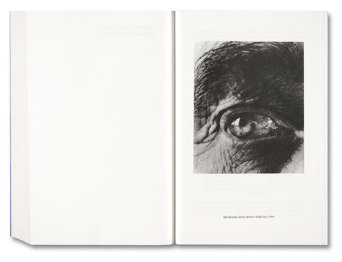 Painting Photography Painting: Selected Essays