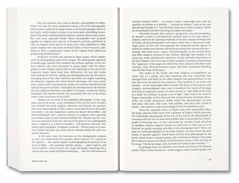 Painting Photography Painting: Selected Essays