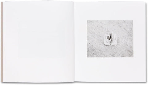 Domesticated Land Susan Lipper - MACK