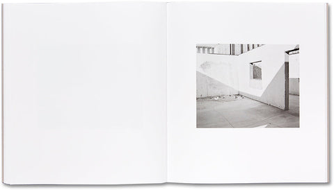 Domesticated Land Susan Lipper - MACK