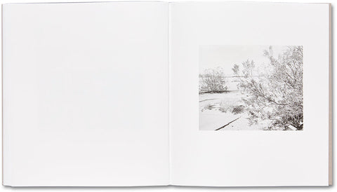 Domesticated Land Susan Lipper - MACK