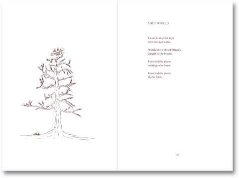 Open book titled "I Saw the Sun" by MACK, showing pages with vibrant photographs and artistic design.