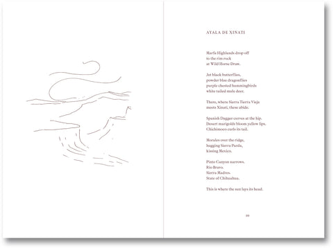 Open book titled "I Saw the Sun" by MACK with colorful illustrations on white pages.
