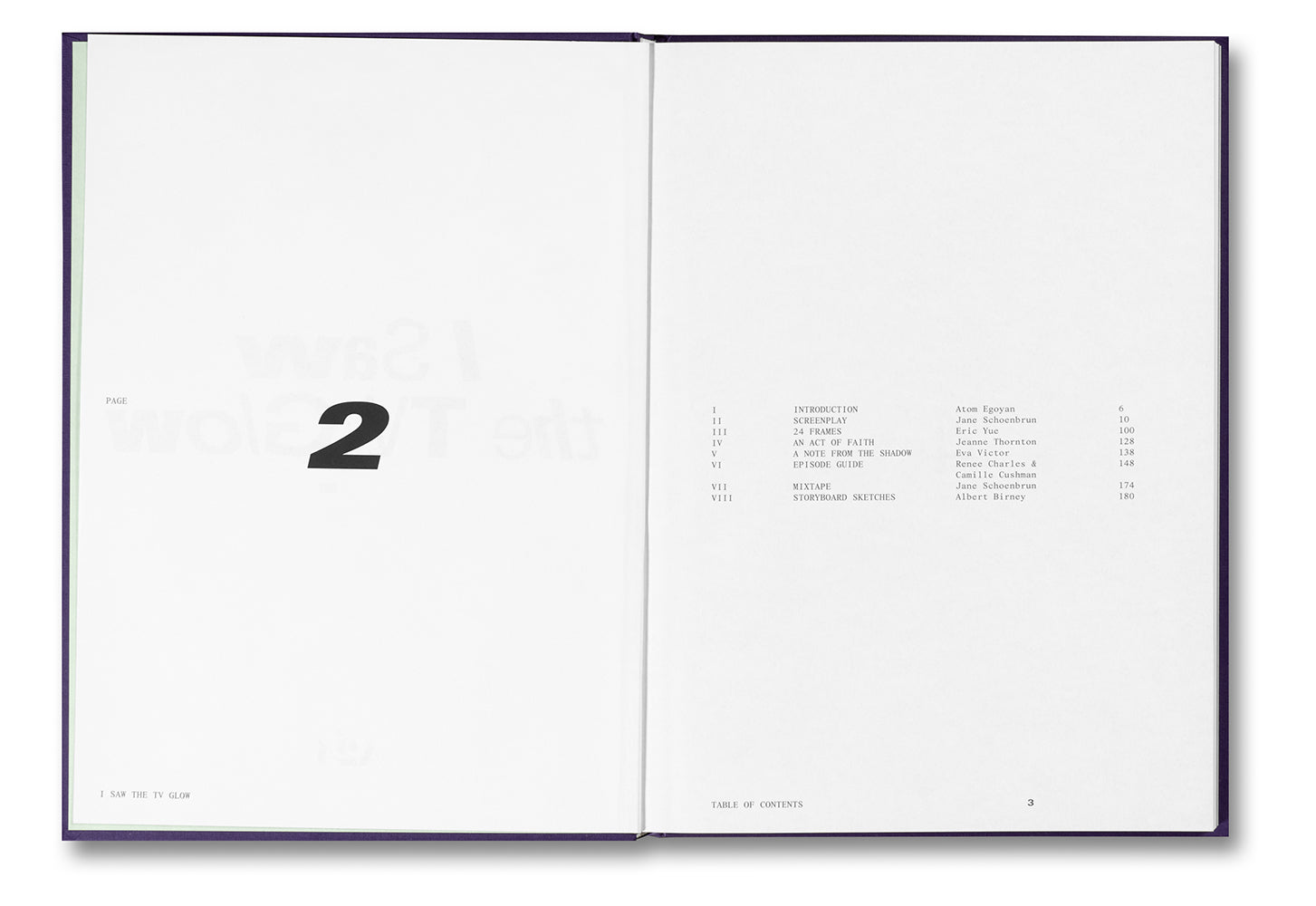 I Saw the TV Glow Screenplay Book – MACK