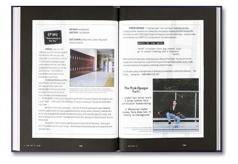 I Saw the TV Glow Screenplay Book