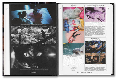 The Encyclopedia of Movie Cats: An A-Z of Felines On Screen
