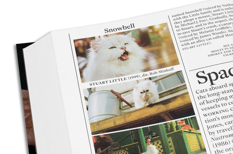 The Encyclopedia of Movie Cats: An A-Z of Felines On Screen