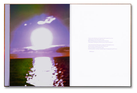 Verdigris / Ambergris - MACK