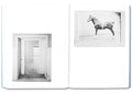 A Field Measure Survey of American Architecture - MACK