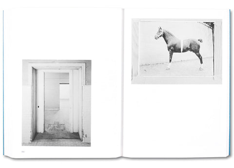 A Field Measure Survey of American Architecture - MACK