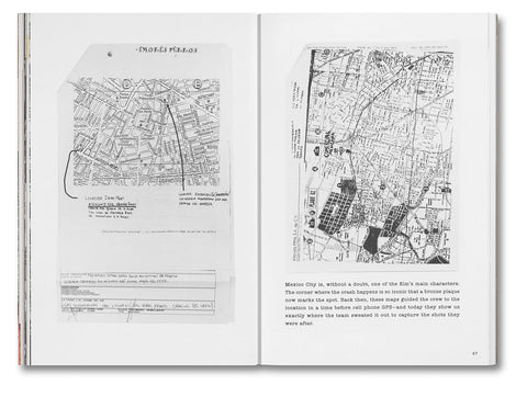 Unleashing Amores Perros