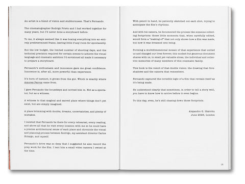 Unleashing Amores Perros