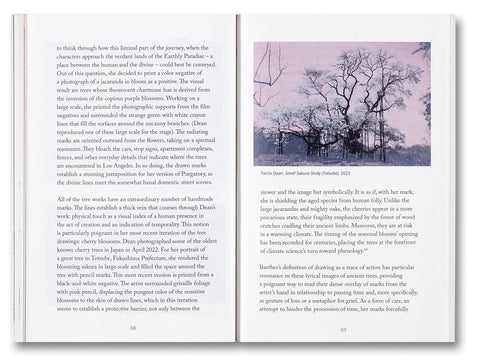 Blind Folly or How Tacita Dean Draws - MACK