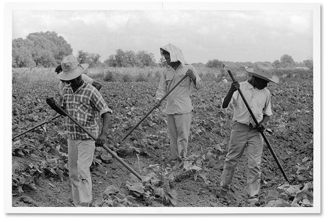 A Civil Rights Journey - MACK