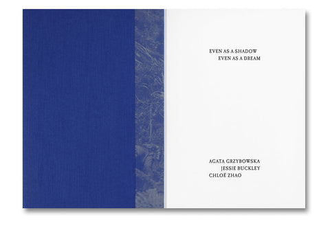 Even as a Shadow, Even as a Dream