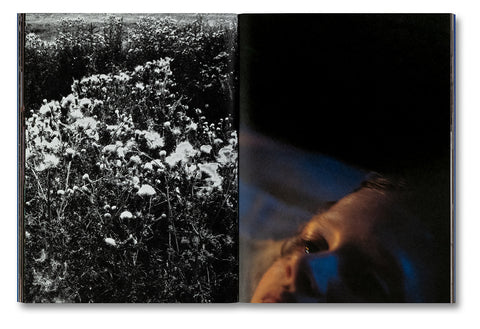 Even as a Shadow, Even as a Dream