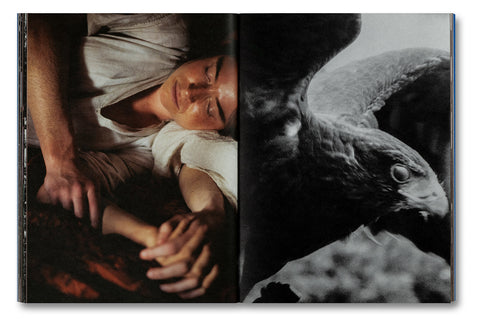 Even as a Shadow, Even as a Dream