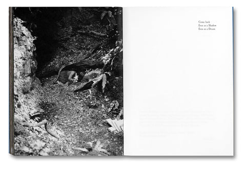 Even as a Shadow, Even as a Dream