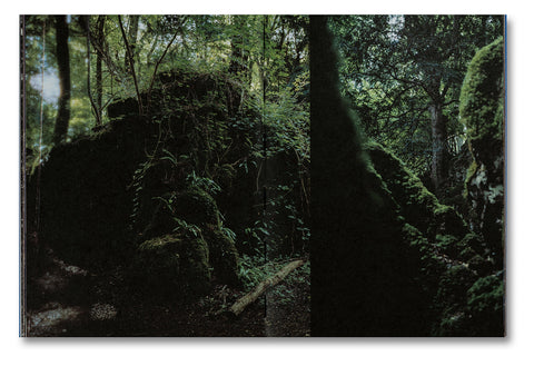 Even as a Shadow, Even as a Dream