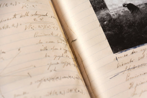 The Artist’s Books - MACK
