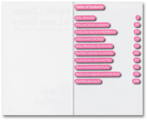 Hello Chaos, a Love Story: The Disorder of Seeing and Being Seen - MACK