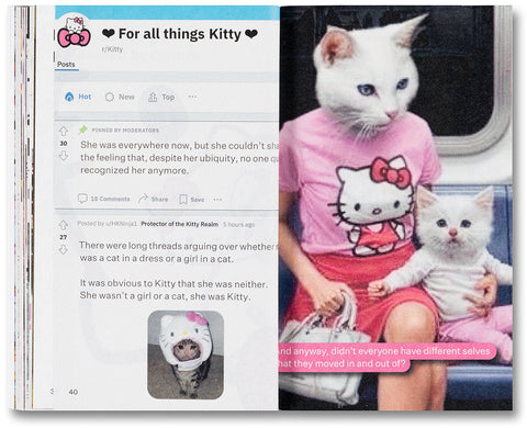 Hello Chaos, a Love Story: The Disorder of Seeing and Being Seen - MACK