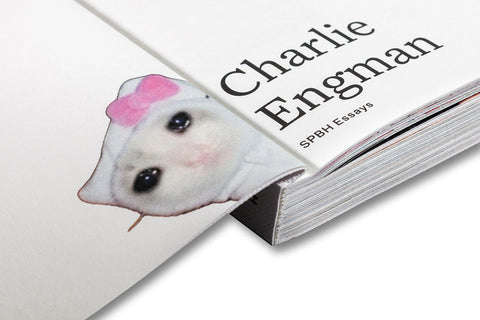 Hello Chaos, a Love Story: The Disorder of Seeing and Being Seen - MACK