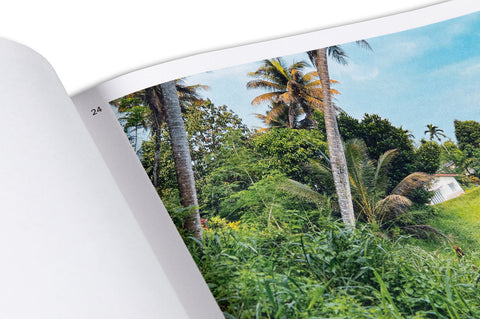 Minnette De Silva: Intersections - MACK