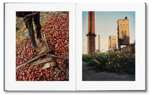 King, Queen, Knave - MACK