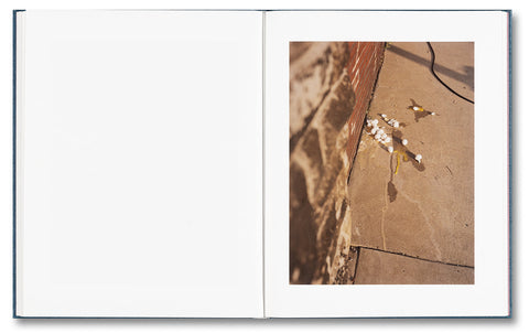 King, Queen, Knave - MACK