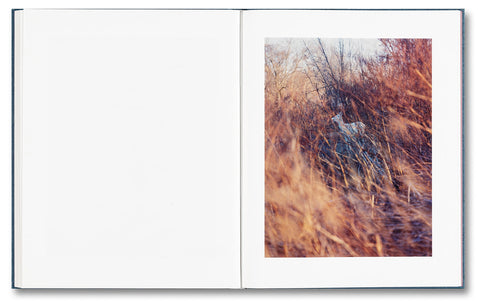 King, Queen, Knave - MACK