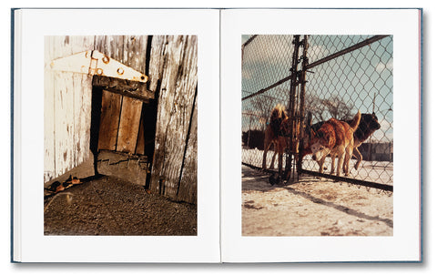 King, Queen, Knave - MACK