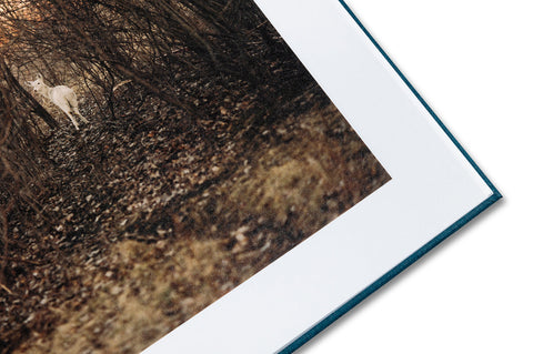 King, Queen, Knave - MACK