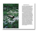 Open book titled "The Critical Thinkers" by MACK, with pages displaying text and illustrations on a white background.