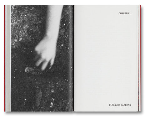 Pleasure Gardens: Blackouts and the Logic of Crisis in Kashmir - MACK