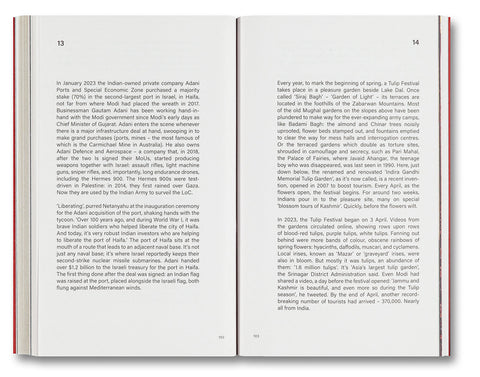 Pleasure Gardens: Blackouts and the Logic of Crisis in Kashmir - MACK