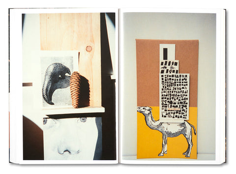 PLEASE SEND TO REAL LIFE: Ray Johnson Photographs - MACK